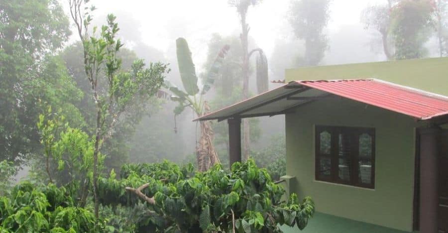 Green Park Village Homestay, Chikmaglur 4